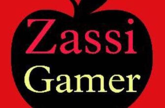 About Game Zassi 335x220